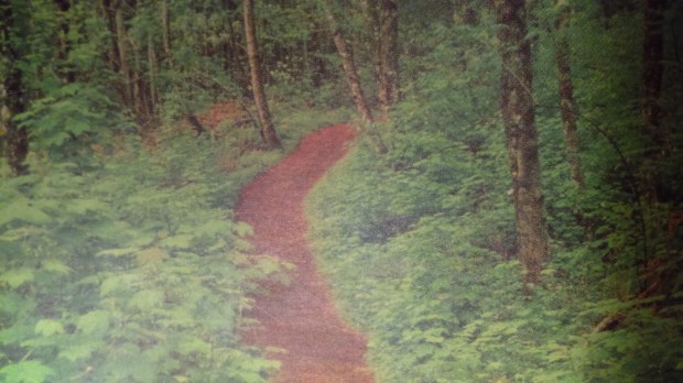 15398367222061296687337